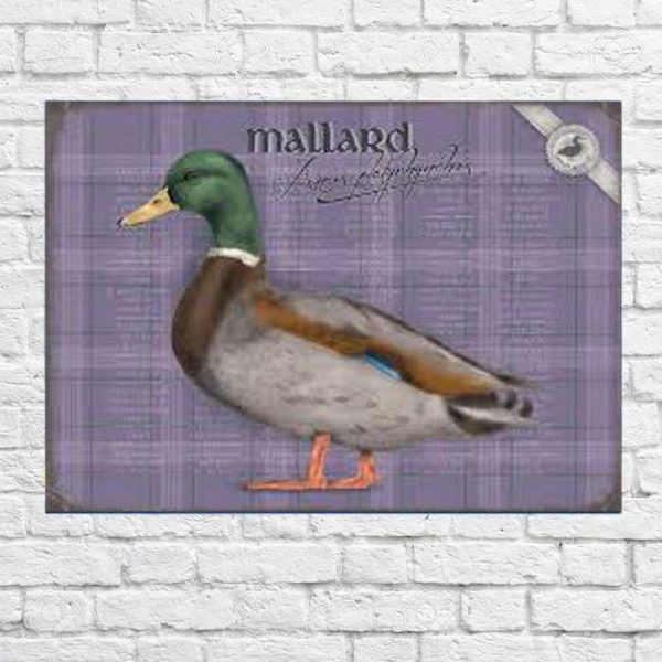 Metal Sign Mallard Wild Duck