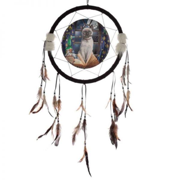 Lisa Parker Hocus Pocus Cat Dream Catcher 33cm