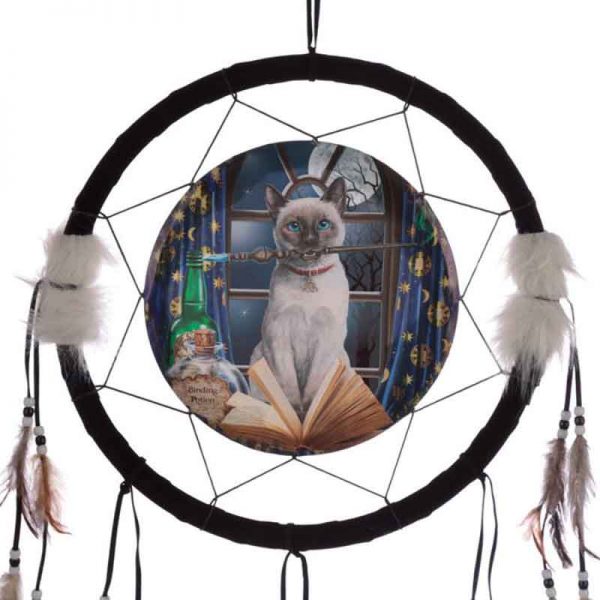 Lisa Parker Hocus Pocus Cat Dream Catcher 33cm - Image 2