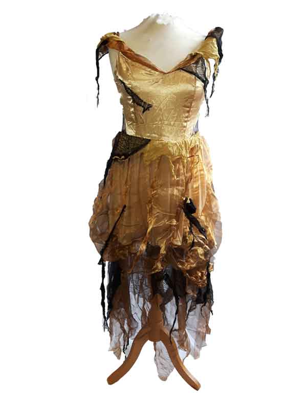 Gold Raggy Witch Dress | Spiveys Web