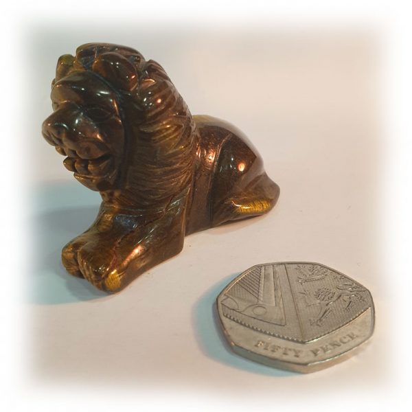 Tigers Eye Lion - Image 4