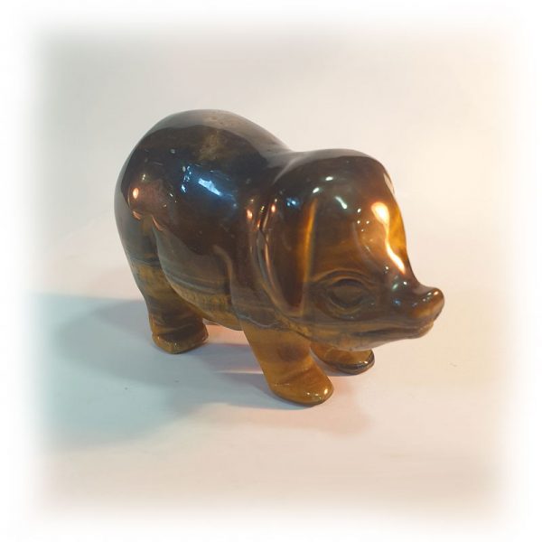 Tigers Eye Pig