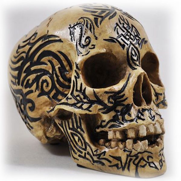 Celtic Tribal Skull