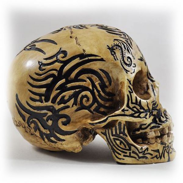 Celtic Tribal Skull - Image 5