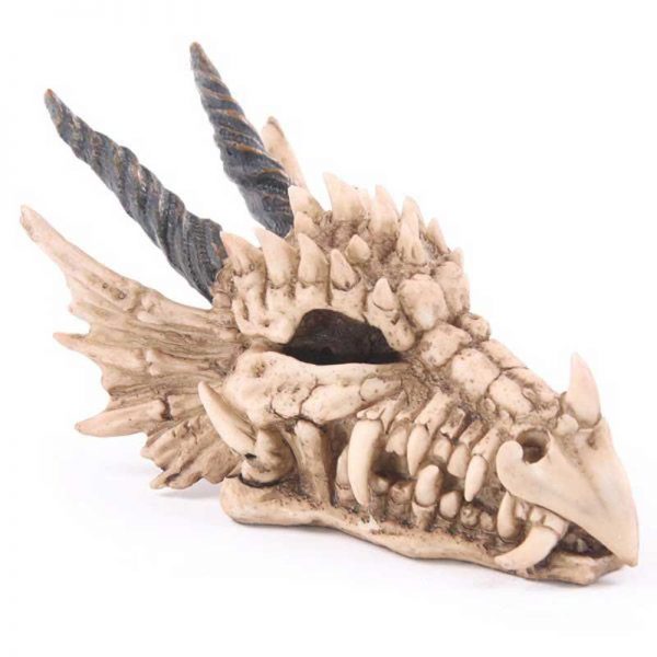 Dragon Skull Money Box