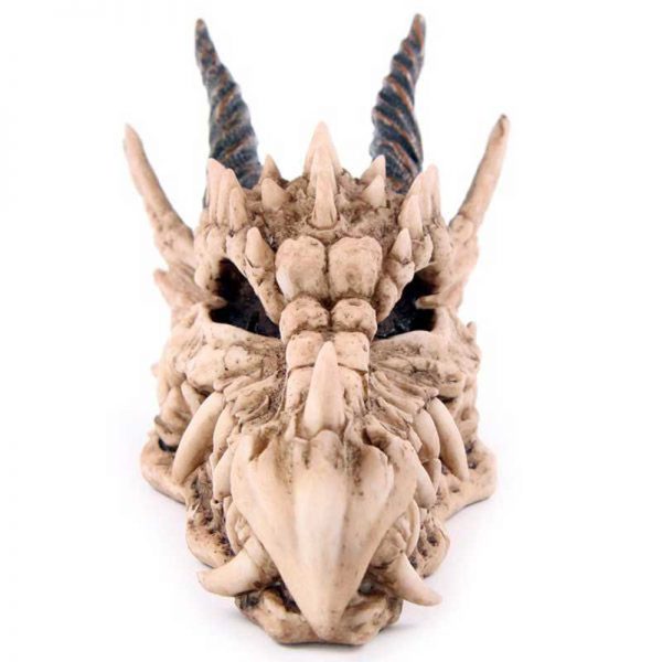 Dragon Skull Money Box - Image 2