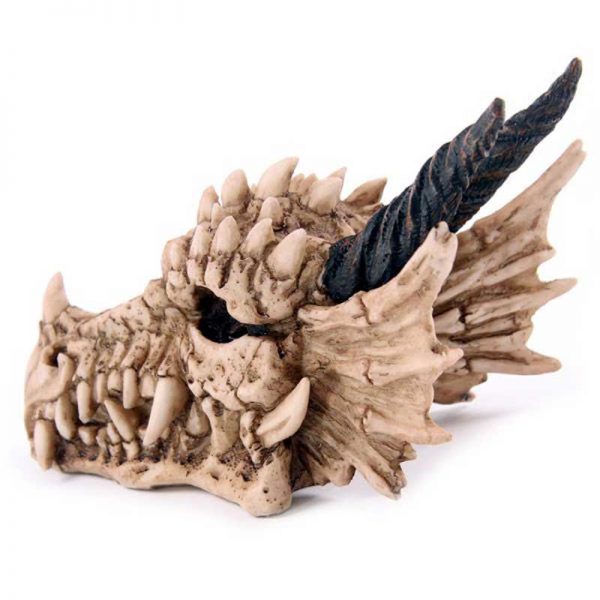 Dragon Skull Money Box - Image 3