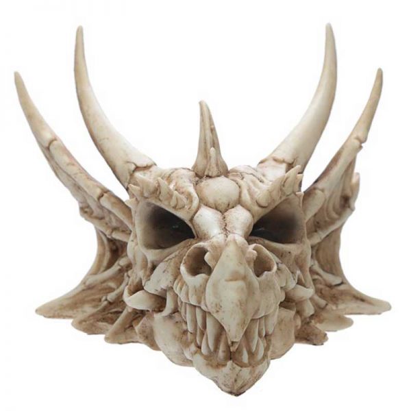 Dragon Skull Decoration - Image 2