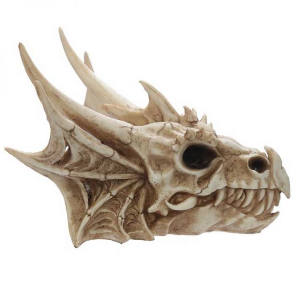 Dragon Skull Decoration - Image 3