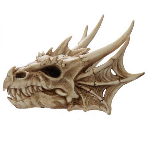 Dragon Skull Decoration - Image 5