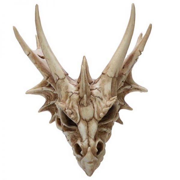 Dragon Skull Decoration - Image 6