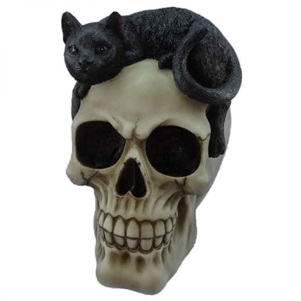 Skull With Black Cat