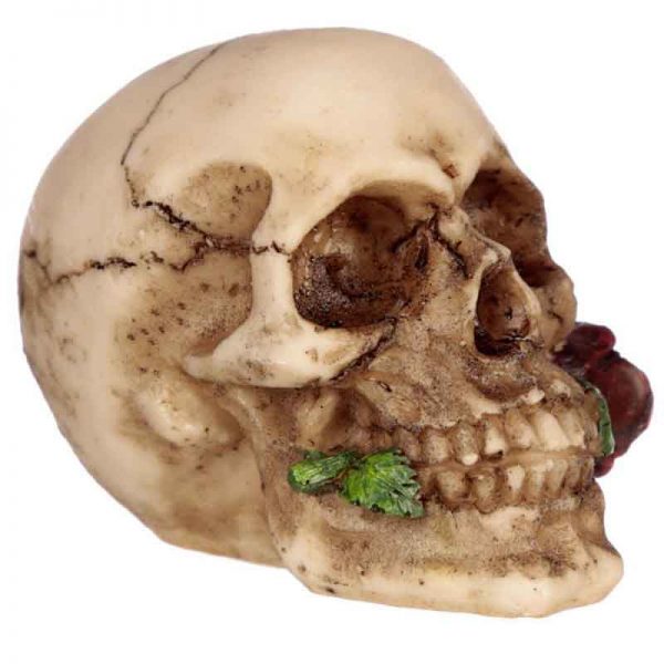 Skull With Red Rose - Image 4