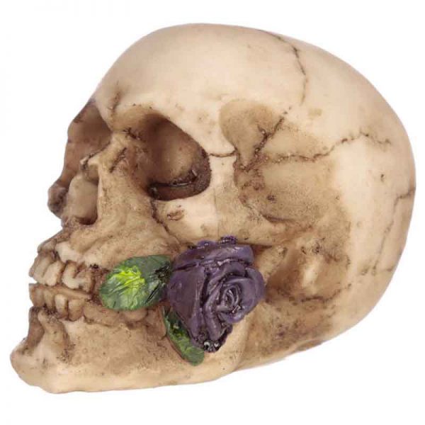 Skull With Purple Rose