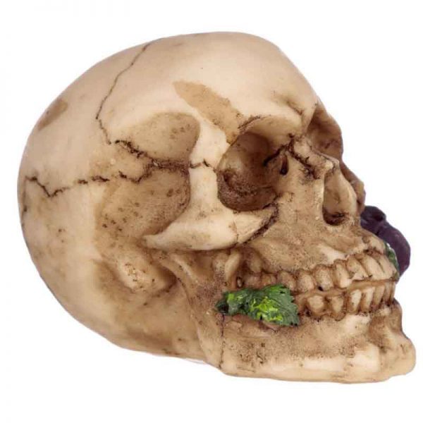 Skull With Purple Rose - Image 2