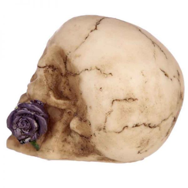 Skull With Purple Rose - Image 4