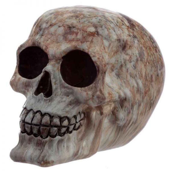 Marble Effect Skull