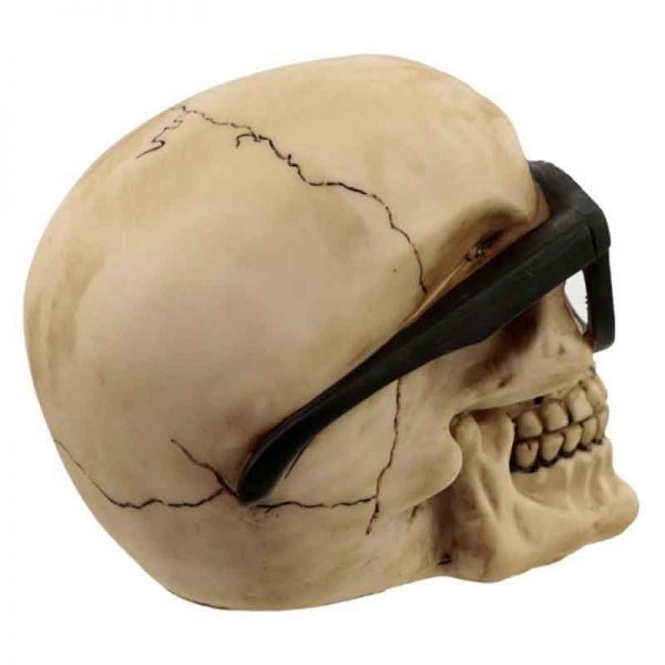 Skull Wearing Glasses - Image 4