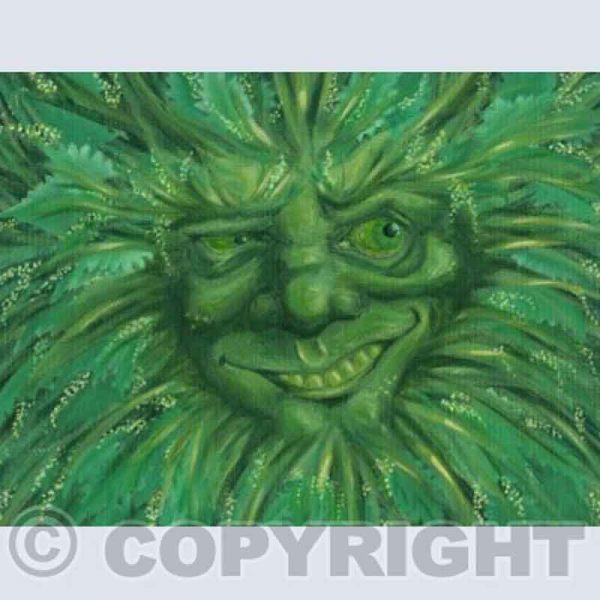 Nettles Rectangular Greetings Card - 175mm x 125.8mm