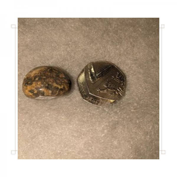 Tumble Polished Leopard Skin Jasper Gemstone