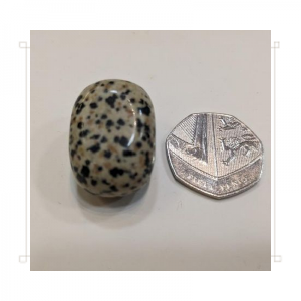 Tumble Polished Dalmatian Jasper Gemstone - Image 3