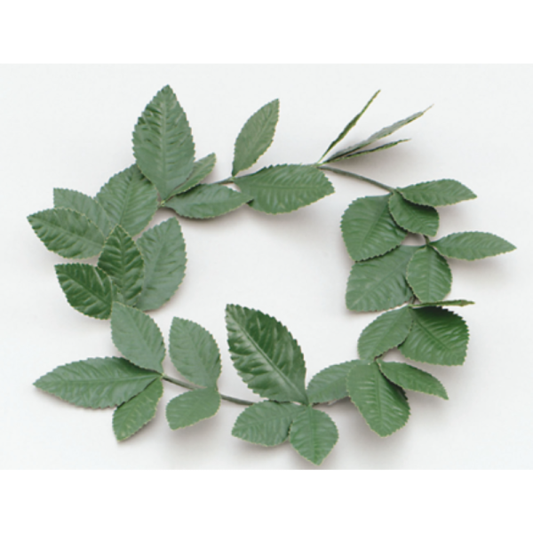 Green Laurel Leaf Headband